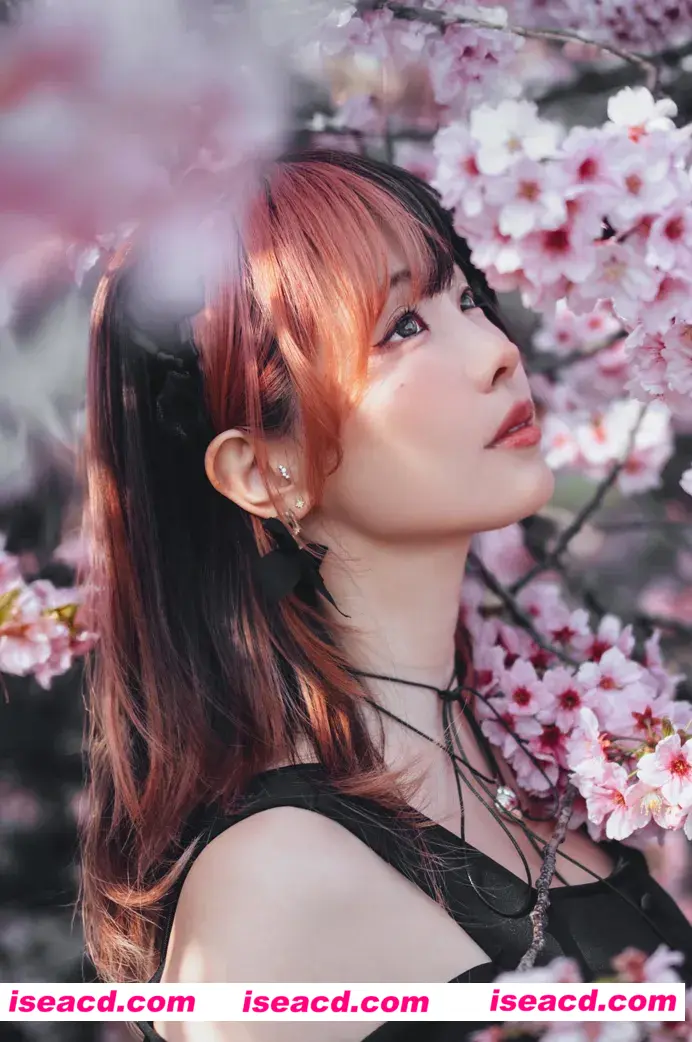 图片[2]-【COSPLAY/合集/带视频】[elyee子] 2025年4月订阅 [92P 9V]【300M】-嘤嘤怪之家