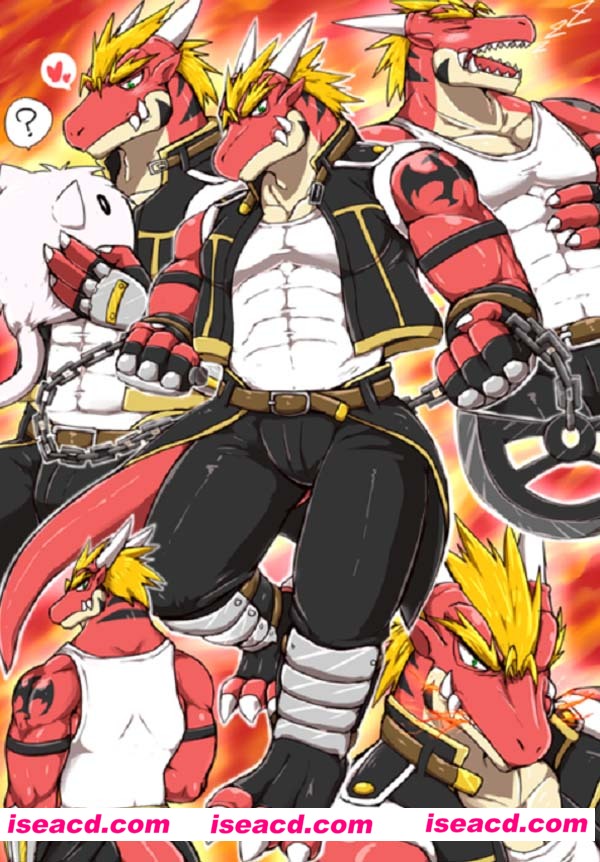 [虾皮汉化组] (新春けもケット6) [S＆Dテイル (圭斗)] 黒ニ染マル赤竜③ [中国翻訳/汉化][百度云网盘+秒传链接]