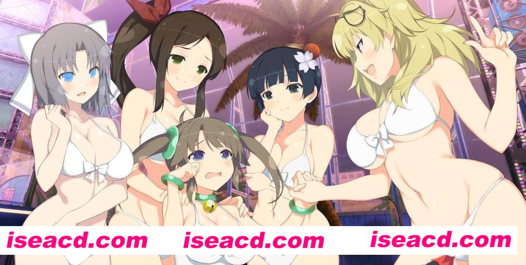 图片[5]-【大作ACT/中文/3D全动态/魔改版】闪乱神乐-沙滩戏水 V1.08 数字豪华MOD整合魔改版 官方中文+全DLC【22G】-嘤嘤怪之家