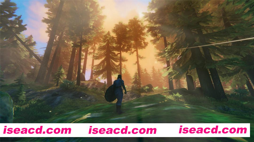 图片[2]-【RPG/中文/3D】Valheim: 英灵神殿 v0.217.38 官方中文可联机版 【1.5G】-嘤嘤怪之家