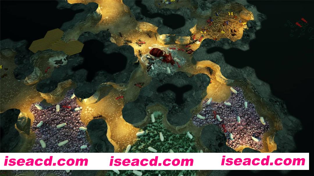 图片[10]-【模拟SLG/中文/3D】地下蚁国/Empires of the Undergrowth 官方中文硬盘版【5G/新作】-嘤嘤怪之家