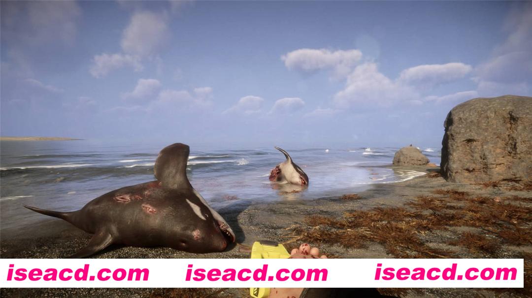 图片[3]-【大型ACT/中文/3D】森林之子-v47878 官方中文硬盘版+存档/可联机【15G/新作】-嘤嘤怪之家