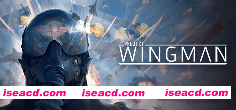 僚机计划/Project Wingman