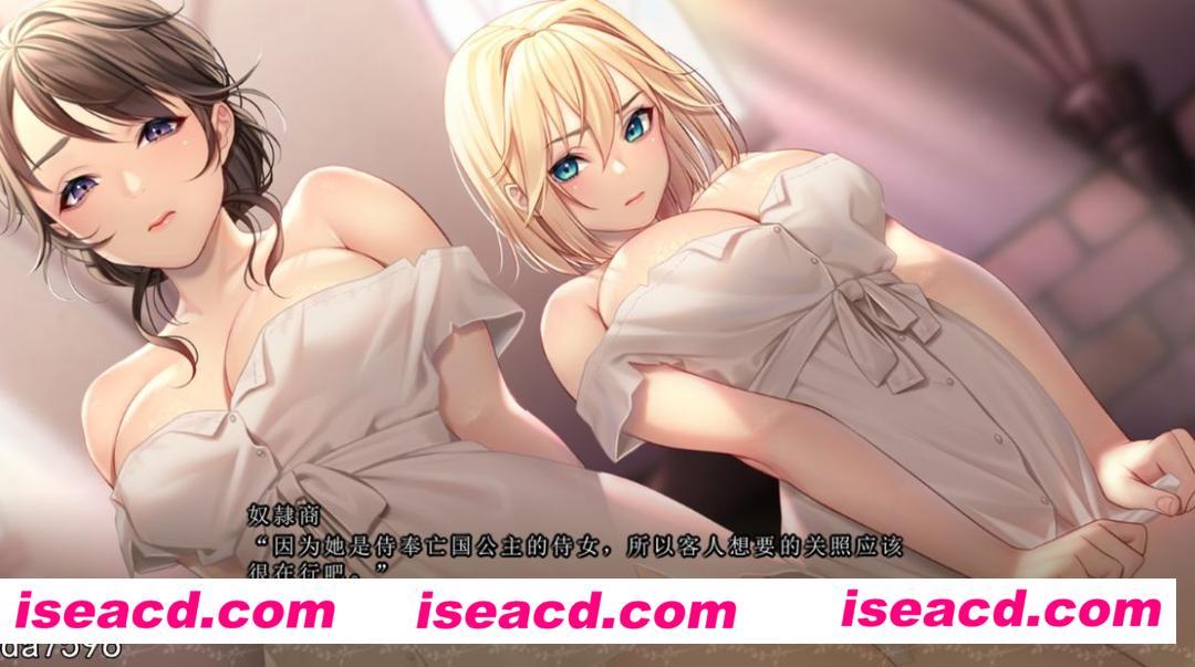 图片[6]-【日式ADV/中文】奴隶公主骑士和奴隶侍女的悠闲生活 STEAM官方中文+DLC整合【1.8G/全CV/新作】-嘤嘤怪之家