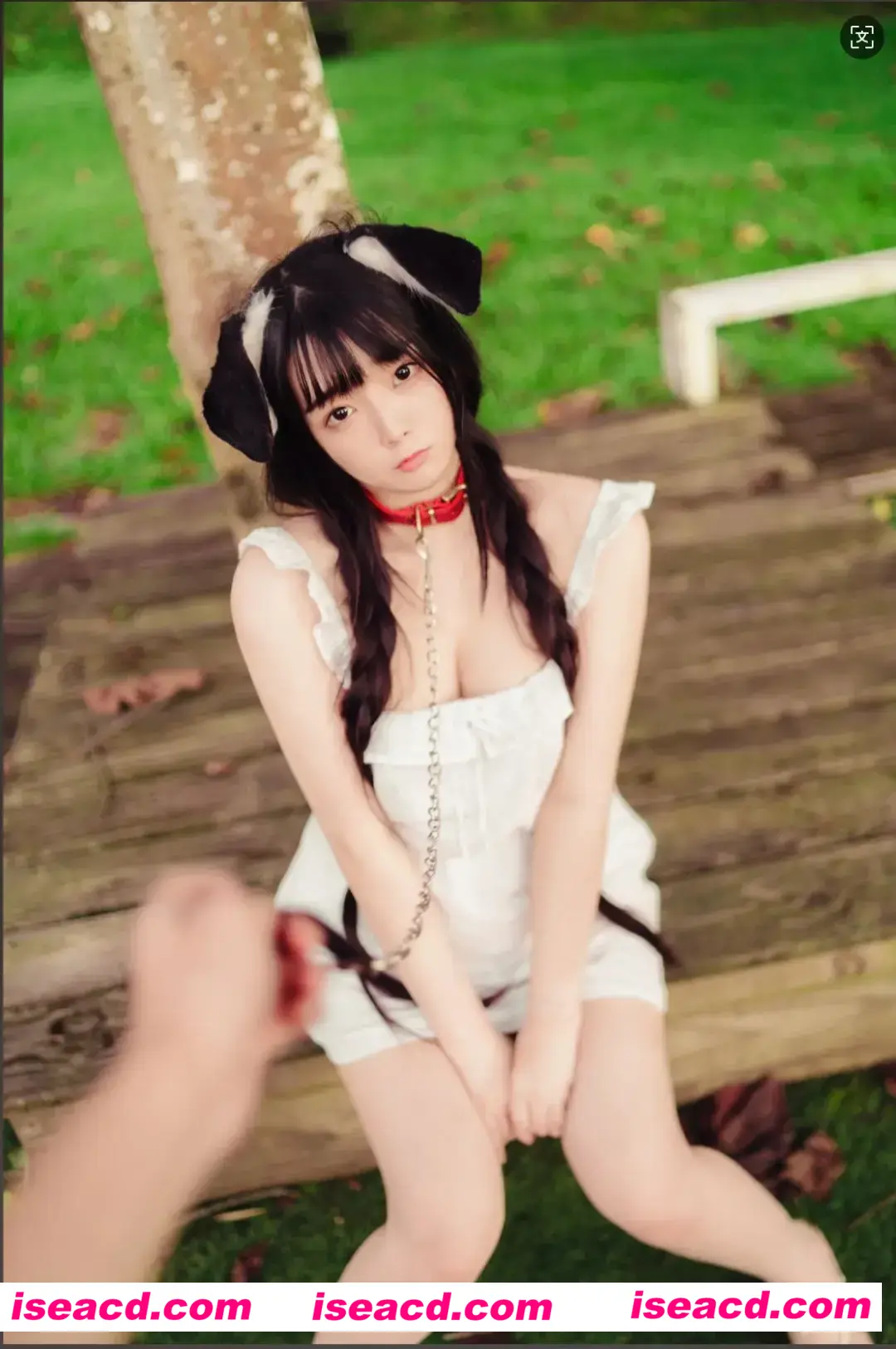 图片[2]-【COSPLAY】落落Raku  Your Puppy! [49P]【400M】-嘤嘤怪之家