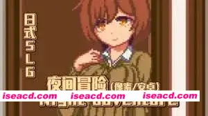 图片[3]-【互动SLG/无文本/像素风/PC+安卓】夜间冒险Night adventure DL完整版 【100M/新作】-嘤嘤怪之家