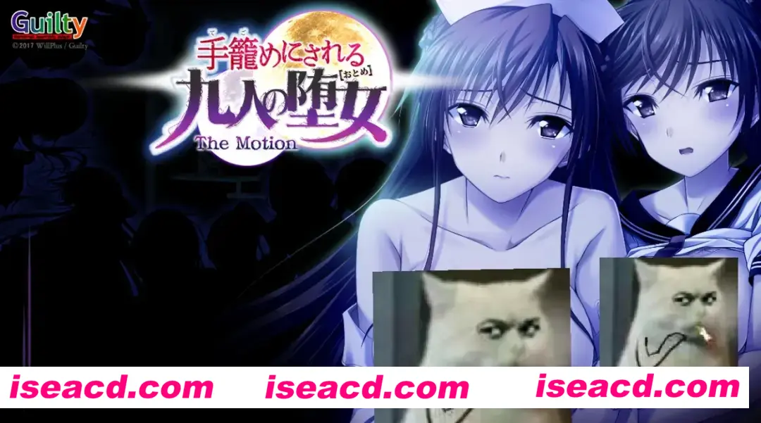 【日式ADV/AI汉化/动态CG】手籠めにされる九人の堕女 The Motion Claude-3-7-sonnet翻译 【1.6G/全CV/新汉化】