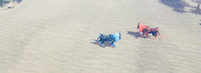 图片[3]-【RPG/中文/3D】《开局一只蛋 Start an egg》v2.20241019 官方中文硬盘版【4.8G/新作】-嘤嘤怪之家