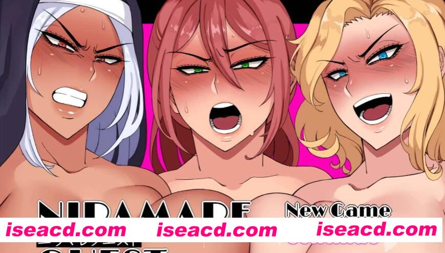 【日式RPG/AI汉化】强制发晴任务 ニラマレクエストV1.18 AI汉化版【3.7G】