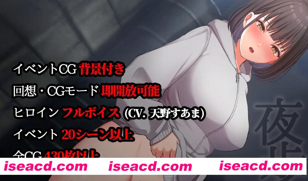 【日式RPG/中文/动态】夜间散步/走夜路/夜歩き DL官方中文硬盘版【1.1G/CV】