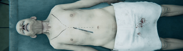 图片[3]-【模拟SLG/中文/猎奇】验尸模拟器 Autopsy Simulator 官方中文硬盘版【15.6G】-嘤嘤怪之家