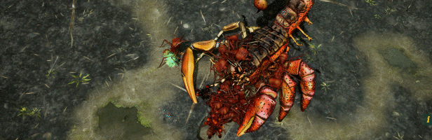 图片[7]-【模拟SLG/中文/3D】地下蚁国/Empires of the Undergrowth 官方中文硬盘版【5G/新作】-嘤嘤怪之家