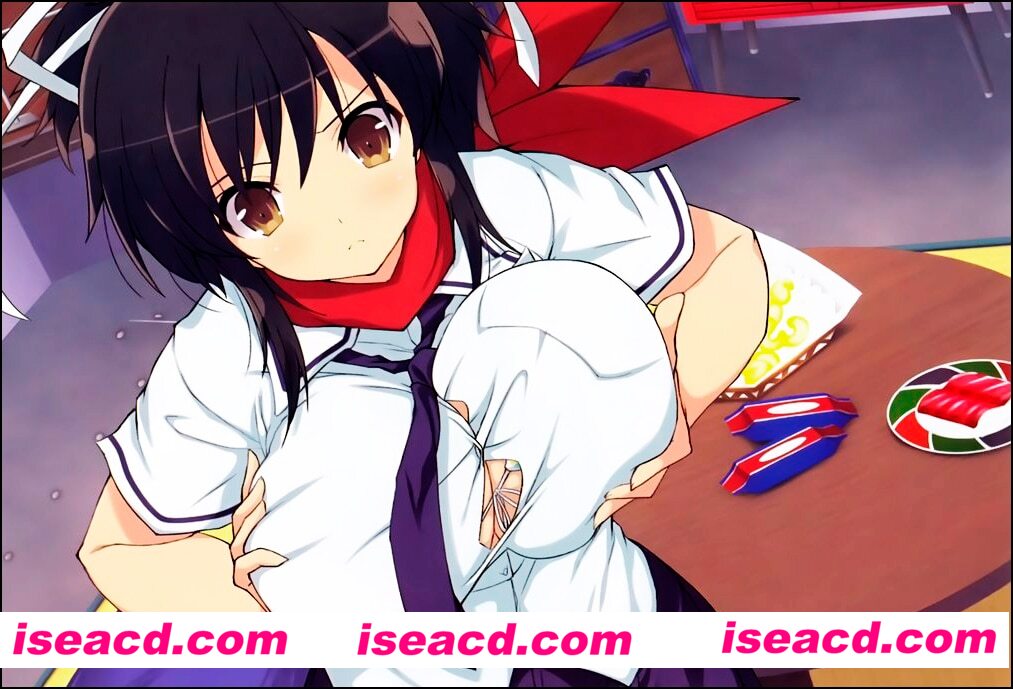 图片[1]-【大型ADV/中文/带动漫】亚托莉-我挚爱的时光 Ver1.3 官方中文硬盘版+官方动画完结版【7G/全CV】-嘤嘤怪之家