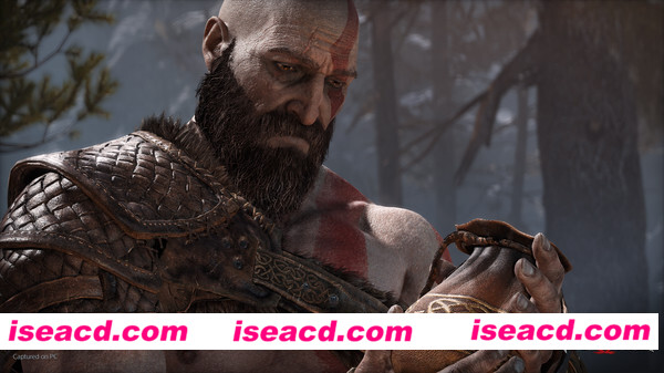 图片[5]-【大型ACT/中文/全DLC】战神（God of War）V1.013 STEAM官方中文破解版【40G】-嘤嘤怪之家