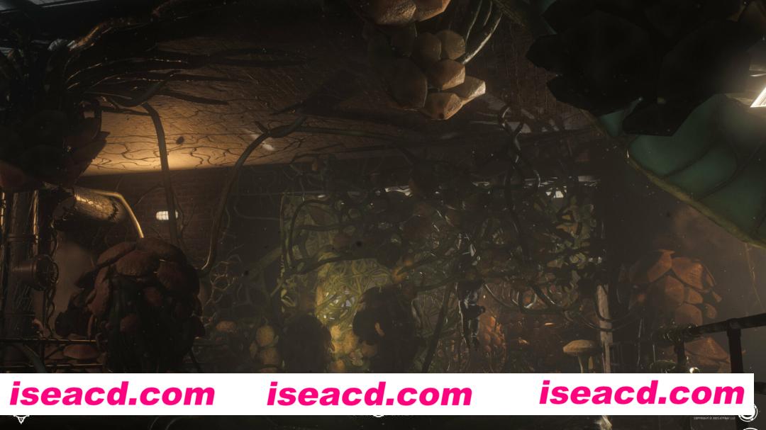 图片[4]-【战术FPS/中文/恐怖惊悚】《SCP 5K》V0.14.1.33 官方中文硬盘版【15.6G/全CV】-嘤嘤怪之家