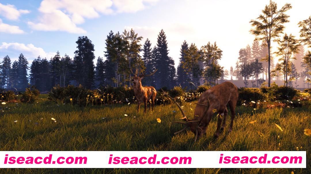 图片[2]-【探索RPG/中文/3D】风暴：深厚友谊的开始 重制版 Windstorm Start of a Great Friendship Remastered 官方中文版 集成DLC冬日仙境【10G/新作】-嘤嘤怪之家