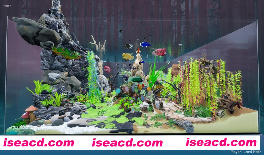 图片[3]-【休闲游戏/全DLC】养鱼模拟器/Fish Game v00.03.24 全DLC整合版【6.7G】-嘤嘤怪之家