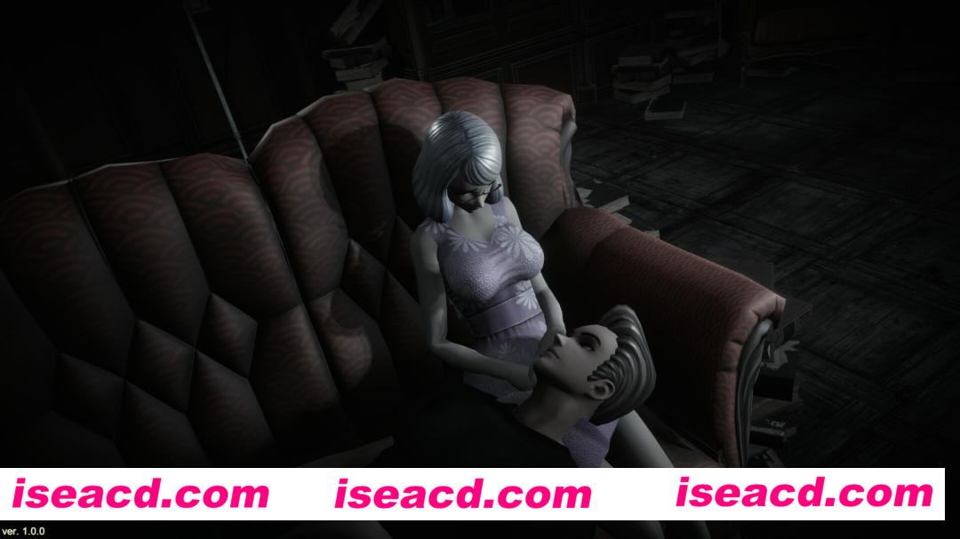 图片[7]-【ACT/中文/3D】无尽迷宫：恶女末途（Widow in the Endless Labyrinth） V1.13官方中文硬盘版【2G】-嘤嘤怪之家