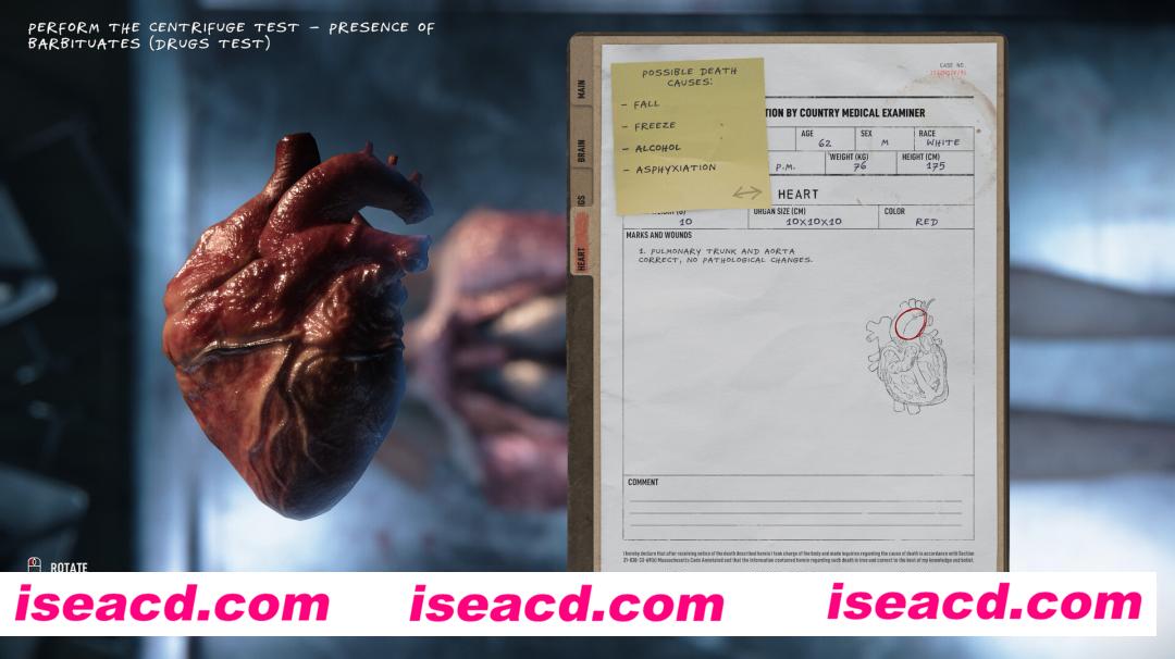 图片[10]-【模拟SLG/中文/猎奇】验尸模拟器 Autopsy Simulator 官方中文硬盘版【15.6G】-嘤嘤怪之家