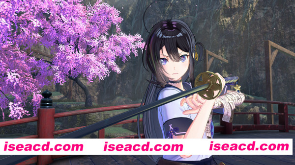 图片[8]-【大型ACT/中文/带MOD】武士少女-究极豪华硬盘版[增MOD/存档/全DLC/全服装]【10G】-嘤嘤怪之家