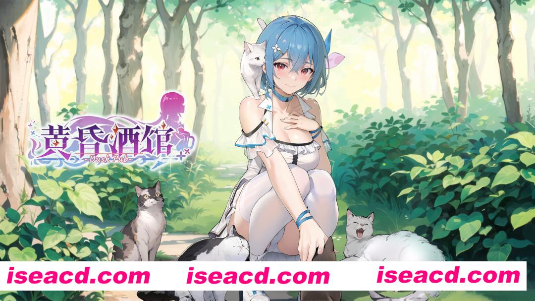 图片[5]-【互动模拟SLG/中文/步兵】 黄昏酒馆 v1.1.5 + DLC 官中步兵版 【1.6G/更新/CV】-嘤嘤怪之家