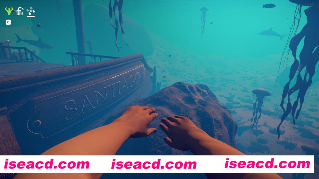 图片[12]-【生存RPG/中文/3D】求生岛：不老泉传说 V1527官方中文硬盘版【19G/新作】-嘤嘤怪之家