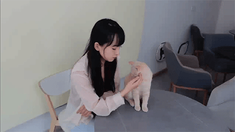 图片[2]-【真人SLG/中文/全动态互动】《心动满屋》v1.0官方中文硬盘版+DLC【16.5G/新作/中文配音】-嘤嘤怪之家