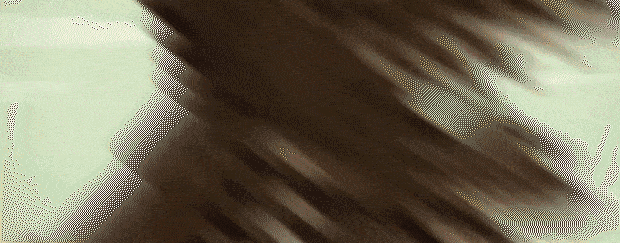 【武侠RPG/中文/怀旧像素】大江湖之苍龙与白鸟/The World Of Kong Fu 官方中文正式版【2G/正式版】