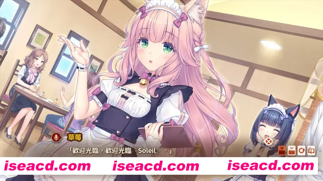 图片[3]-【日系ADV/官中/后宫】猫娘乐园After ～La Vraie Famille～ ネコぱら After ラ・ヴレ・ファミーユ Ver1.0 官方中文版【5.15G】-嘤嘤怪之家