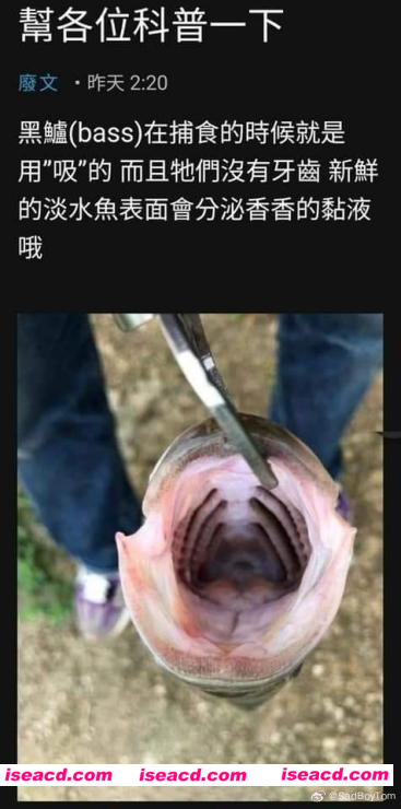 图片[2]-【日式SLG/整活儿向】艹鱼模拟器  異魚 igyo DL正式版【100M/新作】-嘤嘤怪之家