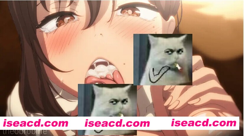 【2D动画/步兵】Theobrobin 6月新作:电锯人合集 新系列 【3.8G/全CV】