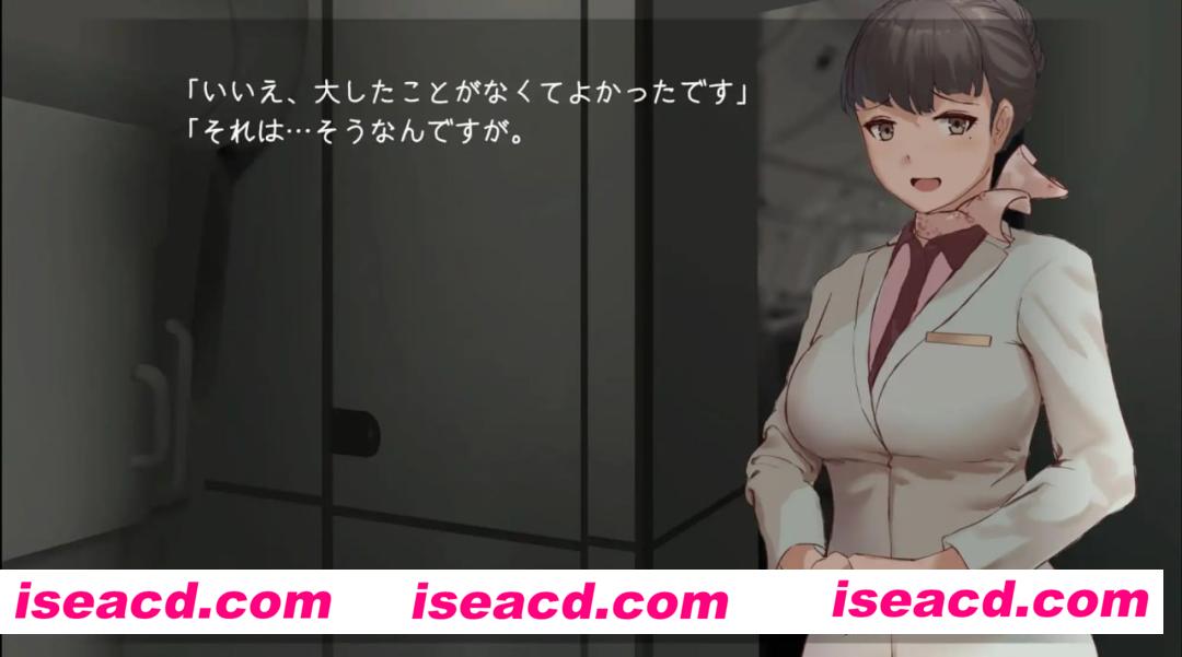 【SLG/机翻/动态】在高空中与你相遇，然后——v25.06.12【电脑/750M】