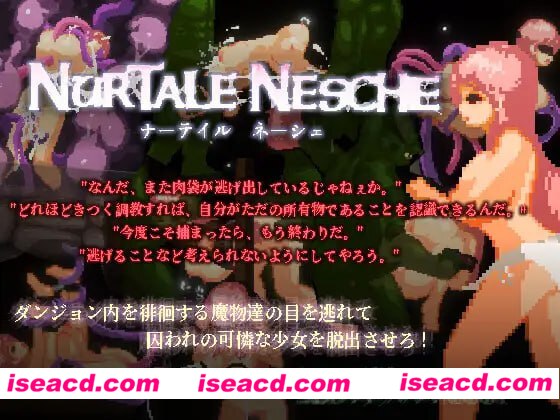 【ACT/中文/像素动态】ナーテイル・ネーシェv1.0.3.7【PC/1.4G/CV】