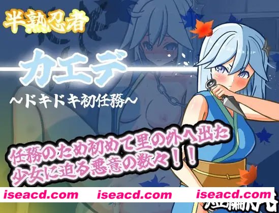 【RPG/AI汉化/MTool】半熟忍者枫 ～心跳加速的初任务～【电脑/2G】