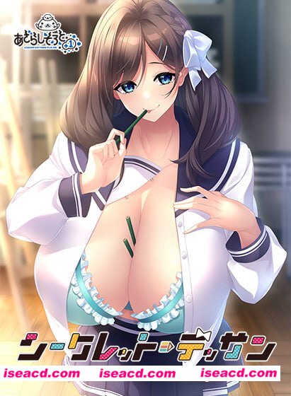 【ADV/AI汉化/全CG存档】秘密素描【电脑/1.4G/CV】