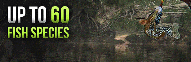 图片[6]-【模拟SLG/中文/3D】终极钓鱼模拟器2/Ultimate Fishing Simulator 2 v1.25.05.30 官方中文【36.7G/更新】-嘤嘤怪之家