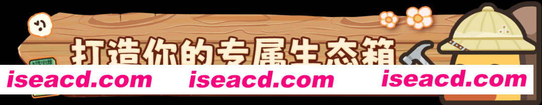 图片[4]-【休闲游戏/中文】🦋🐌🦗🐝🐞🐛🦐生态箱 V1.2.0.2 官方中文【150M/新作】-嘤嘤怪之家