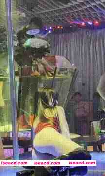 图片[2]-[视频/合集/步兵] 越南暗黑旅游行 KTV探店 1小时52分超全4K版 步兵 [18V] [10G]-嘤嘤怪之家