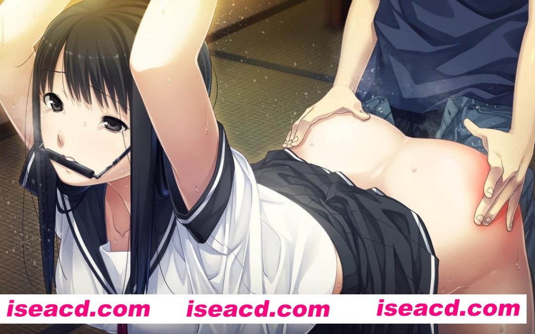 【ADV/精翻汉化/CV/存档】夏之锁v1.0.1【PC/2.7G】