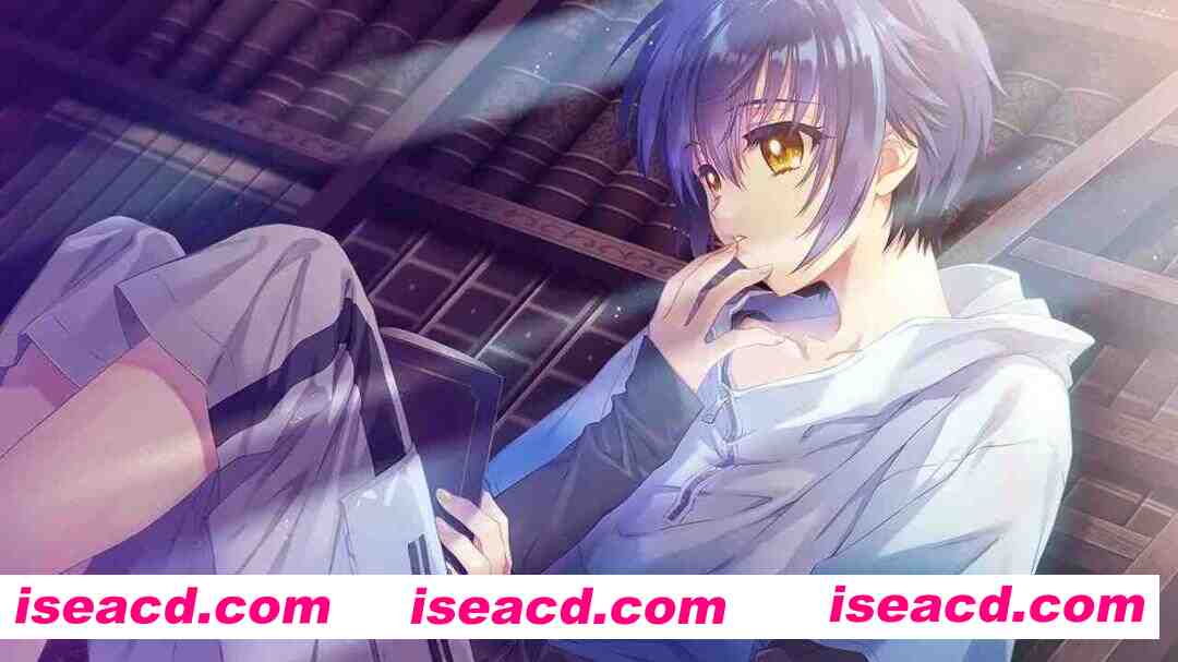 图片[4]-【启蒙大作ADV/汉化/精品/PC】无颜之月-待宵双椿 顔のない月-待宵の双椿- AI汉化内嵌版【2G/CV】-嘤嘤怪之家