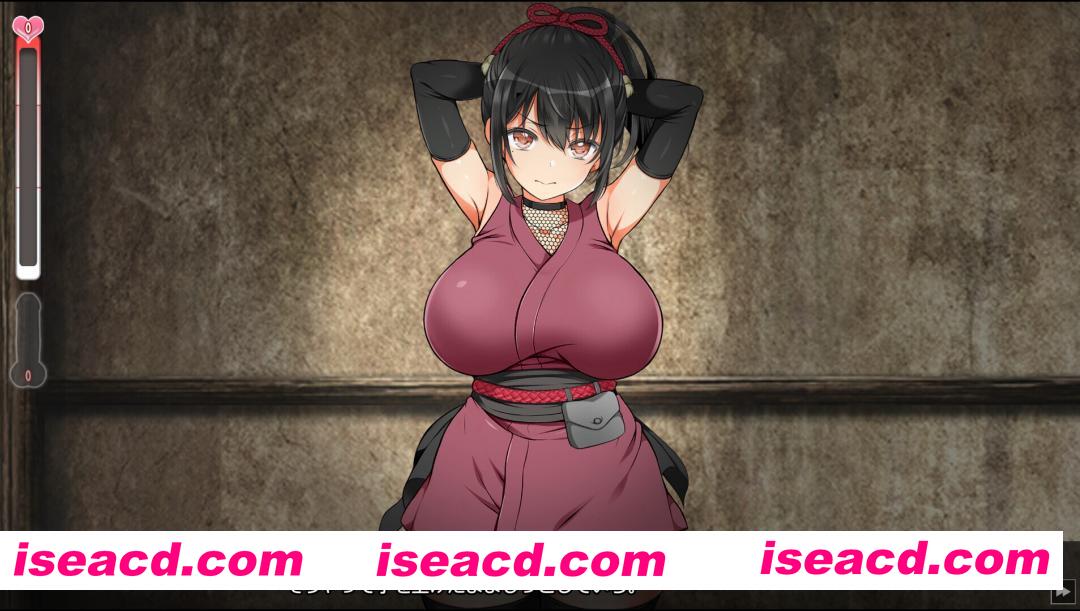 图片[2]-【大型SLG/官中/动态/PC】忍墮－女忍調教 女忍者堕落：忍堕とし Shinobi VB.13126066 STEAM官方中文版+DLC+攻略【11.3G】-嘤嘤怪之家