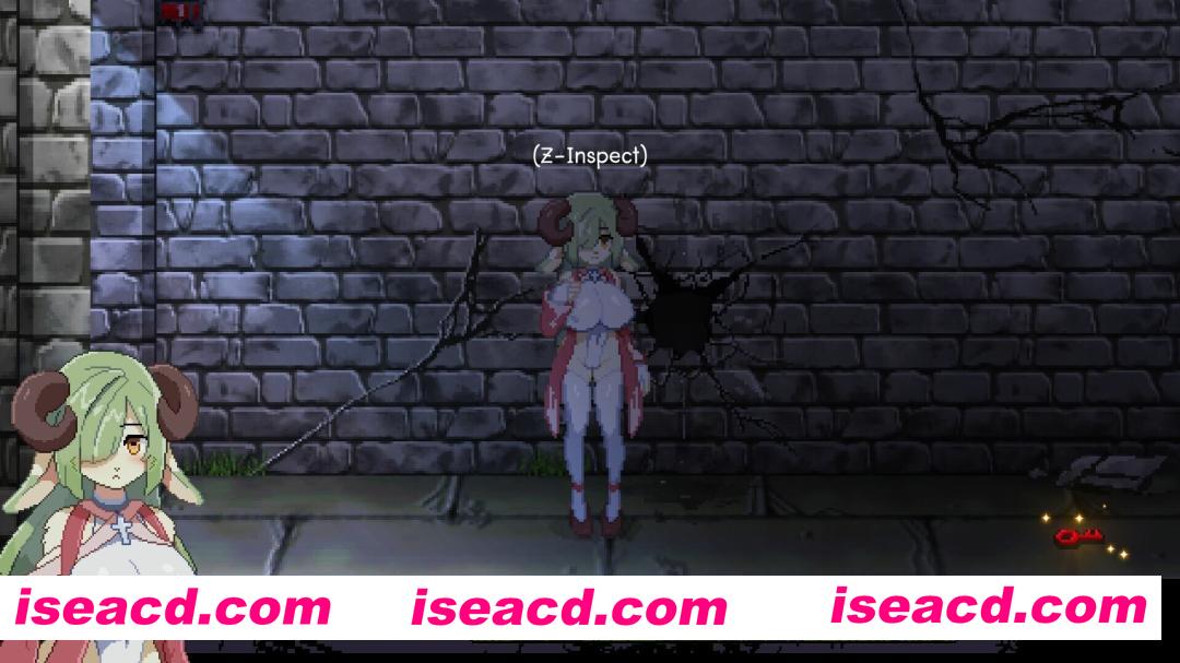 图片[2]-【日系ACT/官中/步兵/PC】女祭司渔网 Priestess Lust Ver1.0.2 官方中文步兵版【854M】-嘤嘤怪之家