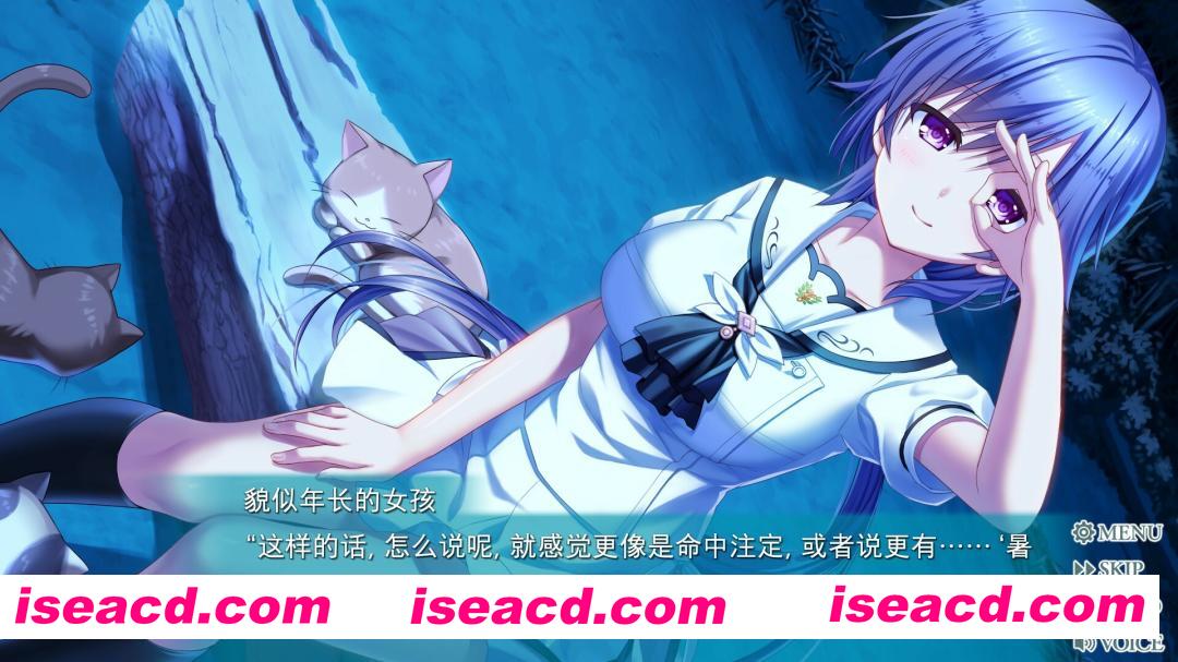 图片[6]-[大作ADV/中文/2D] 夏日口袋：流光蓝/Summer Pockets REFLECTION BLUE v1.3.2.1 官方中文版 [9.7G/全CV]-嘤嘤怪之家