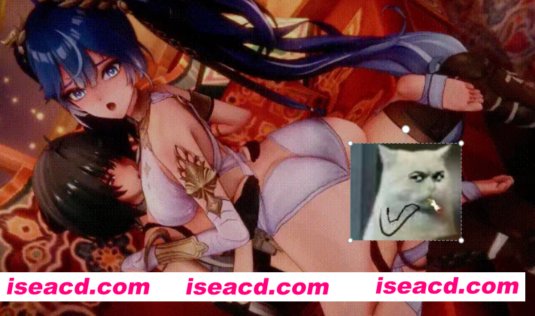 [MMD/中文/步兵]  Fearess 9月23作品 鸣潮扶她女主和她的后宫们  [1V] [400M/CV]