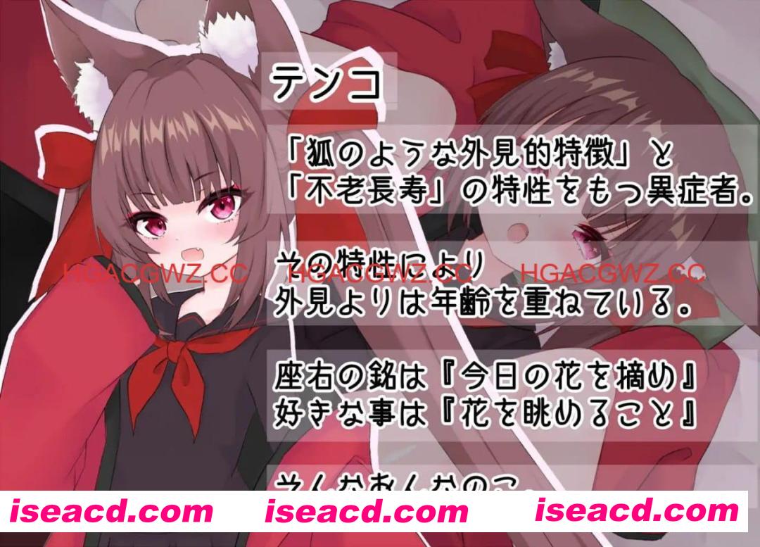 【ADV/AI汉化】想要一场模版化的恋爱!【电脑+安卓/2.4G】