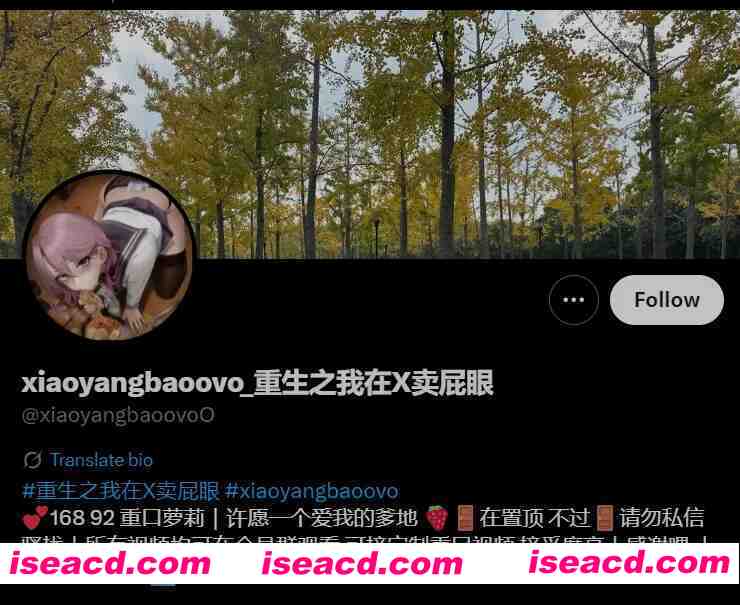 [视频/步兵/合集] 推特福利姬：重生之我在x卖屁眼 @xiaoyangbaoovo 赞助合集 [22V] [300M]