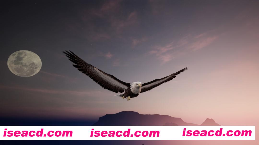 图片[3]-[武侠RPG/中文/3D] 绝世好武功/The Matchless Kungfu Build.20446202 官方中文版 [2.6G/更新]-嘤嘤怪之家