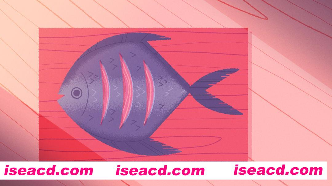 图片[5]-[ADV/中文/2D] 薇妮巴一家/Venba v20251007 官方中文版 [1.1G/新作]-嘤嘤怪之家