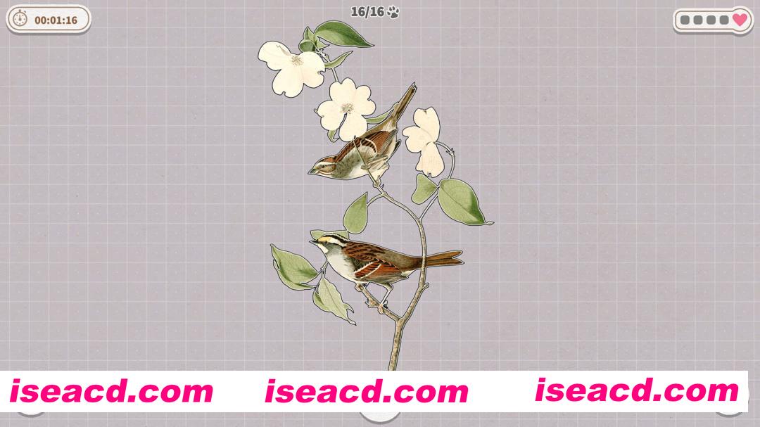 图片[4]-[休闲游戏/中文/2D] 挤在一起的鸟鸟/Birds Huddled Together Build.14298719 官方中文 [950M/新作]-嘤嘤怪之家