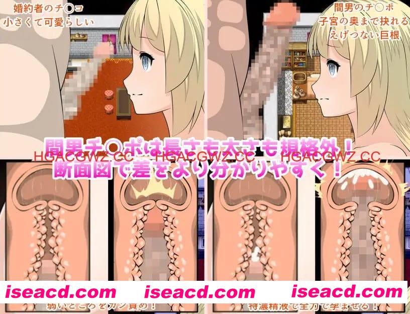 【RPG/AI汉化/MTool】艾莉西娅公主v1.0.5【PC/2.82G】PrincessElicia v1.0.5